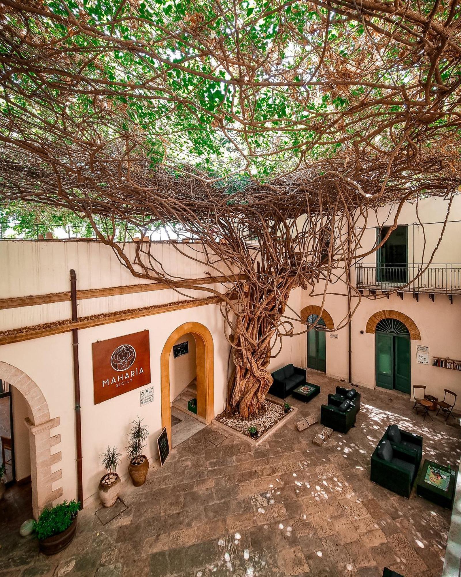 Bed and Breakfast Maharìa Bed&Wine Menfi Exterior foto